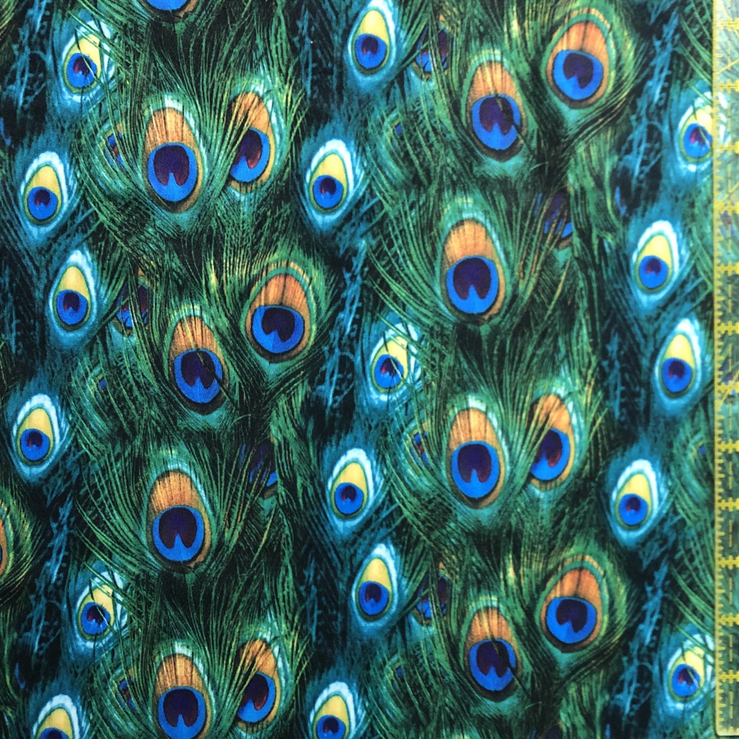 Peacock Feathers (Symes)